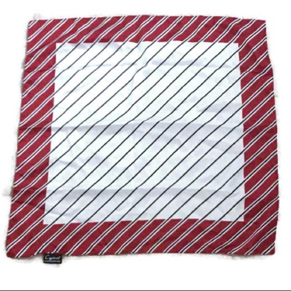 3/$20 Cejon Accessories Inc Scarf 20” x 20”